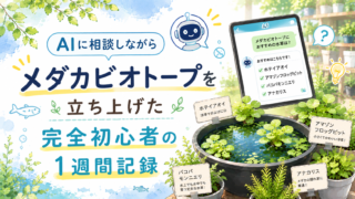 AIに相談しながらメダカビオトープを立ち上げた——完全初心者の1週間記録